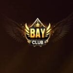 Profile picture of bayclub