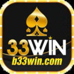 Profile picture of B33win com