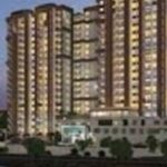 Profile picture of Purva Northern Lights