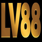 Profile picture of LV88 com