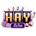 Profile picture of haywinnio