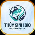 Profile picture of Thuysinhbio Com