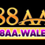 Profile picture of 88aawales