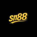 Profile picture of Sn88dev