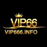 Profile picture of vip66