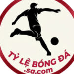 Profile picture of tylebongdasacom