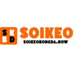 Profile picture of soikeobongdanow