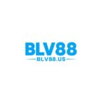 Profile picture of Blv88us