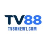Profile picture of tv88new1com
