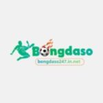 Profile picture of Bongdaso247innet1