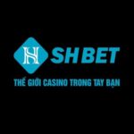 Profile picture of SHBET