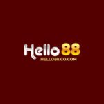 Profile picture of hello88trading