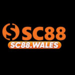 Profile picture of SC88 - SC88.Wales - Link Vào Trang Chủ SC88 COM Chính Thức 2026