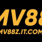 Profile picture of mv88zitcom