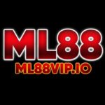 Profile picture of ML88