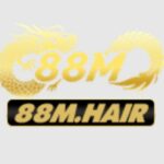 Profile picture of 88mhair
