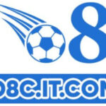 Profile picture of o8citcom