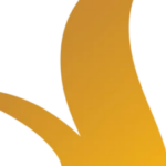 Profile picture of Vinhomes Hải Vân Bay
