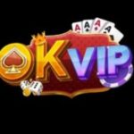 Profile picture of OK VIP