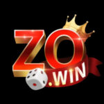 Profile picture of zowincomco1