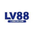 Profile picture of lv88csncom