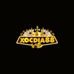 Profile picture of Xocdiadoithuong88comvn