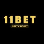 Profile picture of 11betcricket