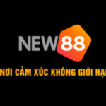 Profile picture of new88farm