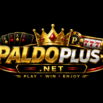 Profile picture of paldoplussnet