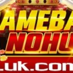 Profile picture of gamebainohuuk com