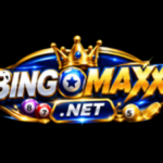 Profile picture of bingomaxxnet