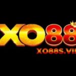 Profile picture of XO88 SVIN