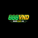 Profile picture of 888vnd nl