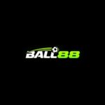 Profile picture of ball88blue