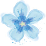 Profile picture of annakearney