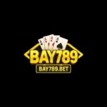 Profile picture of Bay789coach