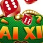 Profile picture of gametaixiutopcom