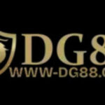 Profile picture of dg88itcom