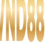 Profile picture of VND88
