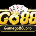 Profile picture of ncgamego88pro