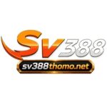 Profile picture of sv388thomonet