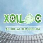 Profile picture of Xoilac Z Trực Tiếp Bóng Đá