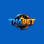 Profile picture of thabetcasino1