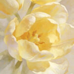 Profile picture of sharonstricker