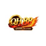 Profile picture of QH88