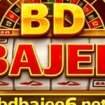 Profile picture of bdbajee6net