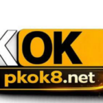 Profile picture of pkok8net