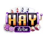 Profile picture of haywincv9