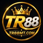 Profile picture of Tr88mtcom