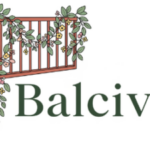 Profile picture of Balcivo Blog